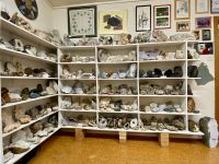 Rundreise Island - Stödvarfjördur Petras Steinhaus