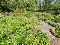 Rundreise Island - Stödvarfjördur Petras Steinhaus