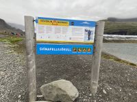 Rundreise Island - Svinafjellsjoküll