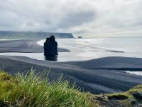 Rundreise Island - Dyrholaey Strand mit Papageientauchern