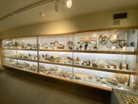 Rundreise Island - Skogar Museum