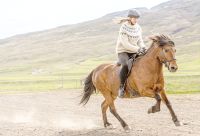 Rundreise Island - Pferdehof Lyttingsstadir