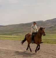 Rundreise Island - Pferdehof Lyttingsstadir