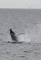 20250711_20 ... und genießen.jpg