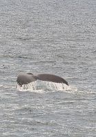 20250711_23 .....auf Wiedersehen.jpg