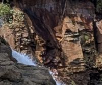 20250715_17...und seine Bewohner).jpg