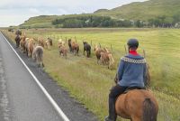 20250718_9 Reiterausflug.jpg