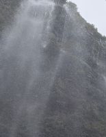 20250718_12 erkennt ihr den Troll.jpg