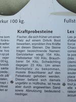 243 Island -  Halbinsel Snaefellsnes - Wanderung am Strand bei Dritvik Djupalonssandur Kraftprobe-Steine