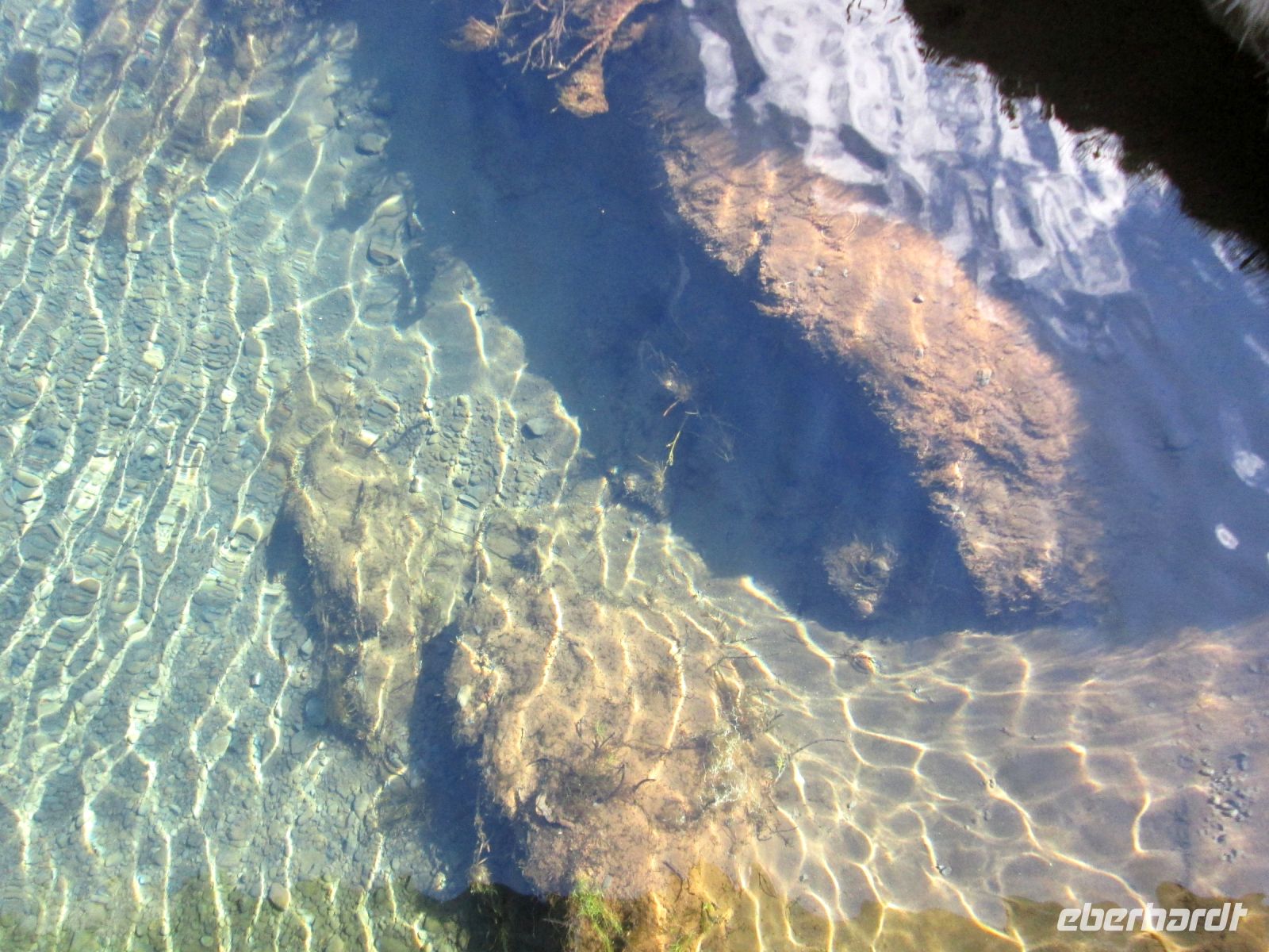 glasklares Wasser in der Grabenbruchzone &ndash; &copy;  (Eberhardt TRAVEL)