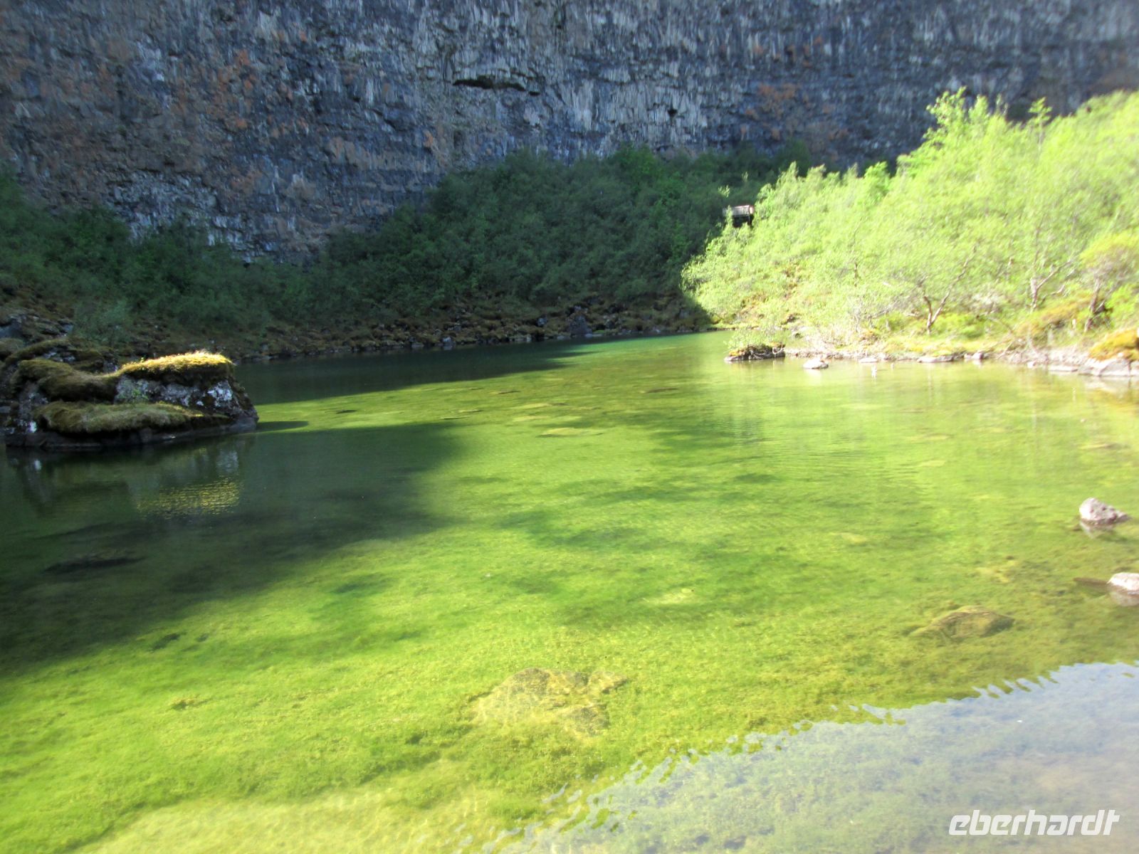 in der Asbyrgi Schlucht &ndash; &copy;  (Eberhardt TRAVEL)
