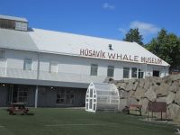 Walmuseum in Husavik &ndash; &copy; Heike Heinen (Eberhardt TRAVEL)