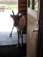 Gibt es hier auch etwas für mich ? &ndash; &copy; Heike Heinen (Eberhardt TRAVEL)