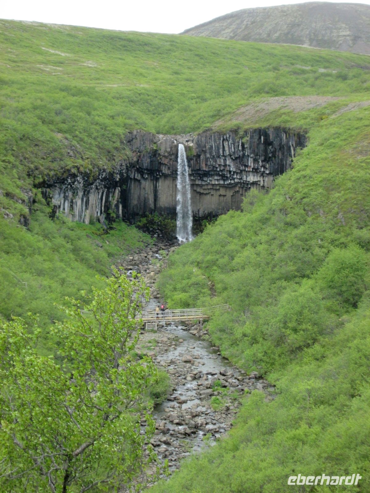 Svartifoss &ndash; &copy;  (Eberhardt TRAVEL)