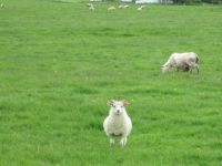 ...immer gerade aus ? &ndash; &copy; Heike Heinen (Eberhardt TRAVEL)
