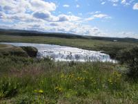 Isländische Wildniss