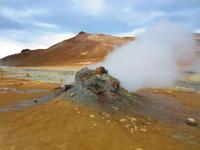 An den Schlammlöchern