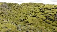 324_moosbedecktes Lavafeld