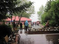 Garten von Petra's Steinhaus