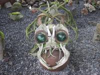 Willkommen in Petra's Steinhaus