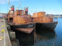 Im Hafen von ReykjavÃ­k