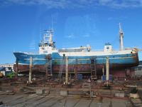 Im Hafen von ReykjavÃ­k