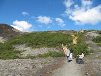 Kleine Wanderung auf den Krater Grábrók