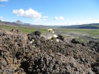 Blick vom Krater Grábrók