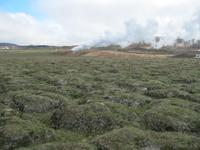 Hochtemperaturgebiet Námaskard