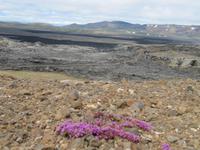 Wanderung im Mývatn-Gebiet