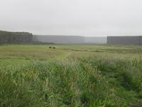 Blick auf die Felsenschlucht Ãsbyrgi