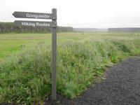 Blick auf die Felsenschlucht Ãsbyrgi