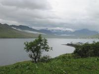 Blick vom Hotel auf den Fjord