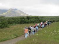 Kleine Wanderung zum Svartifoss