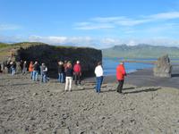 An der Landspitze Dyrhólaey