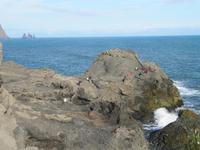 An der Landspitze Dyrhólaey