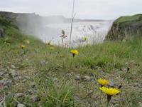 Blick auf den Gullfoss