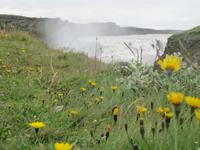 Blick auf den Gullfoss