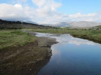 Kleine Wanderung durch Thingvellir