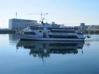 Ausflugsschiff – Walbeobachtung