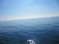 Ein Wal unter der Wasseroberfläche ;-)