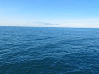 Ein Wal unter der Wasseroberfläche ;-)