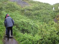 Wanderung zum Skaftafell