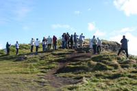 Jagt nach dem Pageitaucher