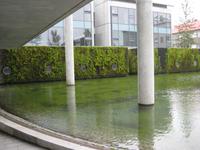 Rathaus von ReykjavÃ­k