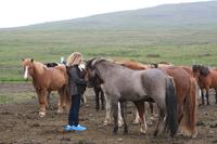 Reiseleiterin Berglind flüstert mit den Pferden