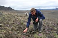 Steinhaufen - Mal sehen ob Sie wieder einmal nach Island kommen.