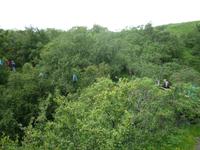 Wanderung zum Wasserfall