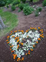 Botanischer Garten Akurery