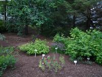 Botanischer Garten Akurery